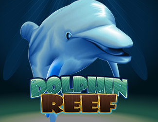 dafabet_dolphin_reef 四季娱乐海豚乐园